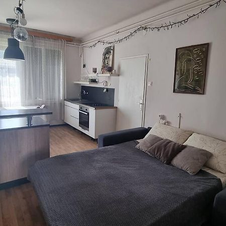 Cosy 2 Room Apartment With Nice Vibe, For Up To 4 Любляна Экстерьер фото